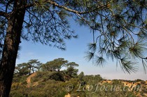 A walk through Torrey Pines
