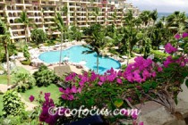 Four great Puerto Vallarta hotels