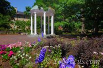 Heart of Chapel Hill
