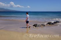 Maalaea and the Maui Ocean Center